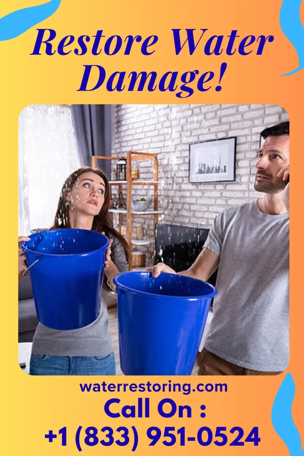 water restoration Lightning Water Restoration Contractors Springmont