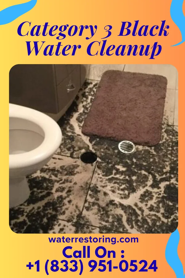 Category 3 Black Water Cleanup in Springmont, PA