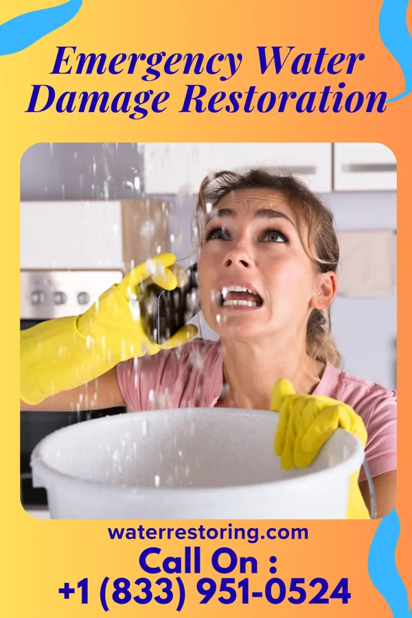 Emergency Water Damage Restoration in Springmont, PA