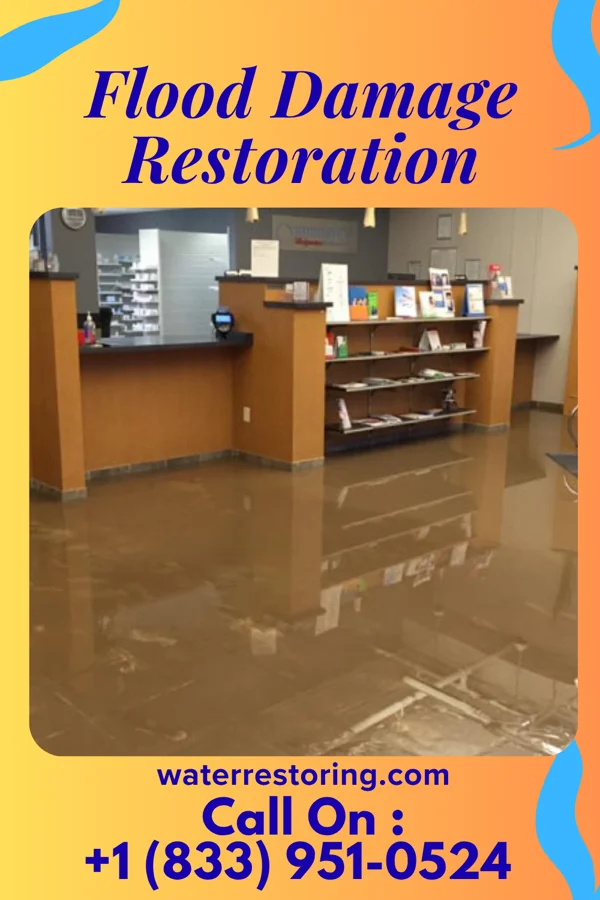 Flood Damage Restoration in Springmont, PA