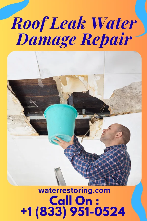 Roof Leak Water Damage Repair in Springmont, PA