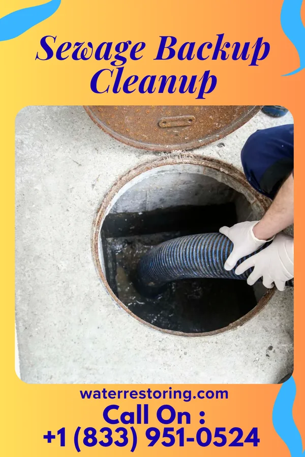 Sewage Backup Cleanup in Springmont, PA