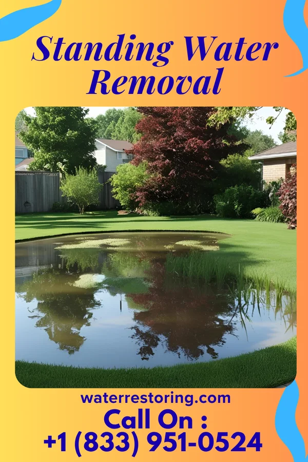 Standing Water Removal in Springmont, PA